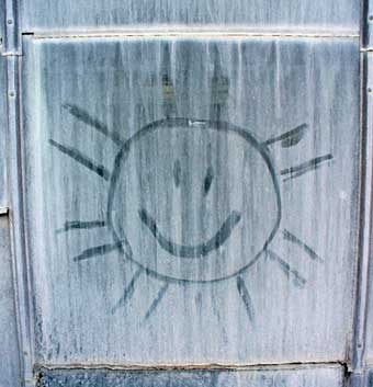 Greenhouse window with happy face by MooScience.