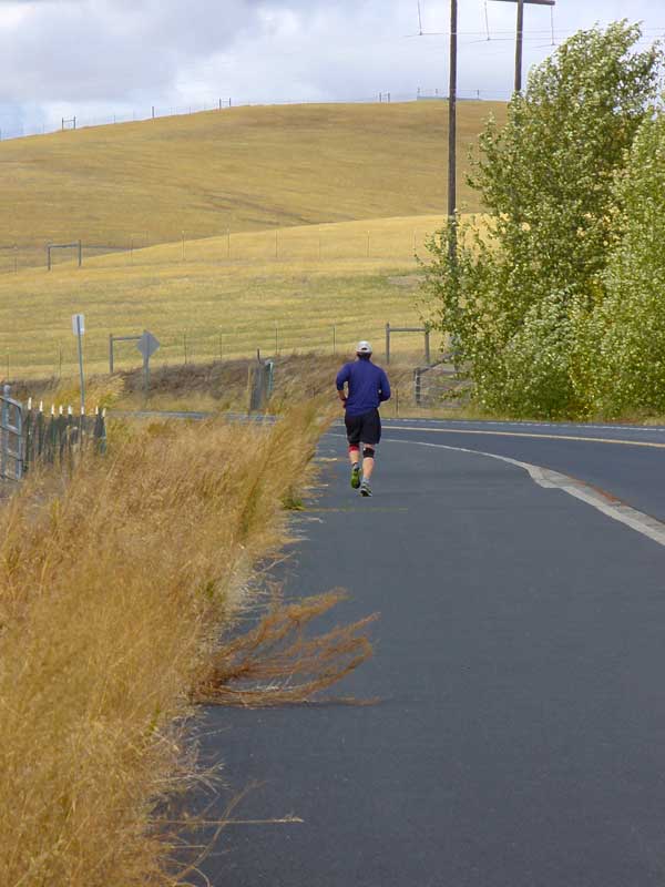 MooScience: Keep healthy while running