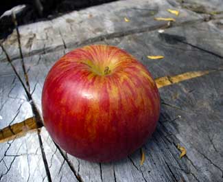 Apples are more acidic than acid whey. Find more fun facts at MooScience.