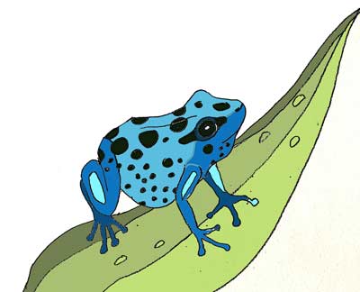 Blue frog at MooScience by Susan Fluegel
