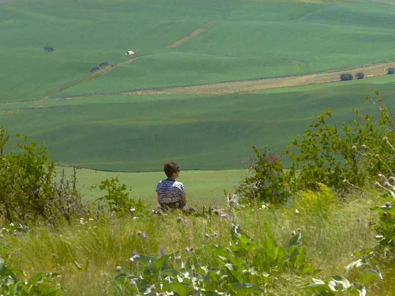 Woman enjoying view of rolling Palouse farmland at MooScience