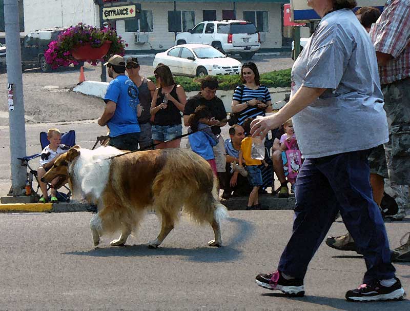 Woman walking dog